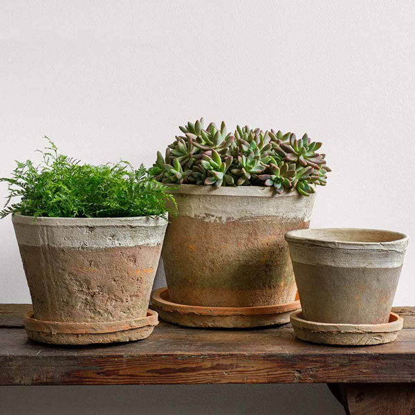 Tall Cylinder Farmers Pot Saucers - Cotswold White - S/12 on table against gray background