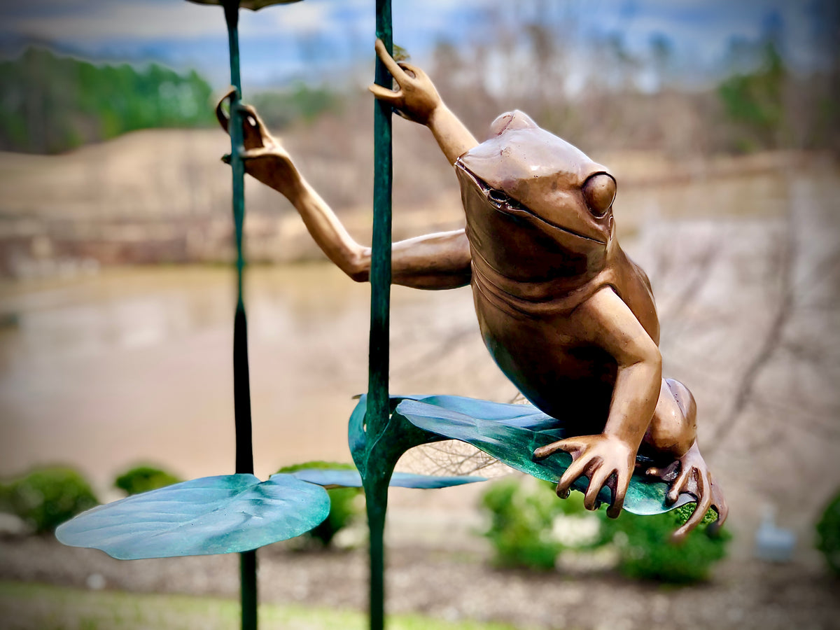 Bronze Frog on Leaf Fountain, Metropolitan Galleries