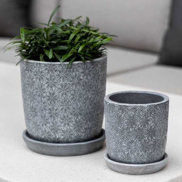 Small Marguerite Round Etched Grey Planter S/8 filled with plants against white wall