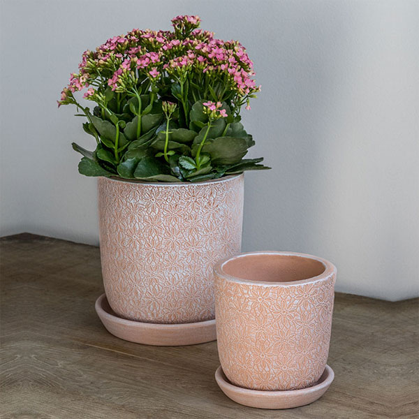 Small Marguerite Round Shell Pink Planter S/8 filled with pink flowers against white wall