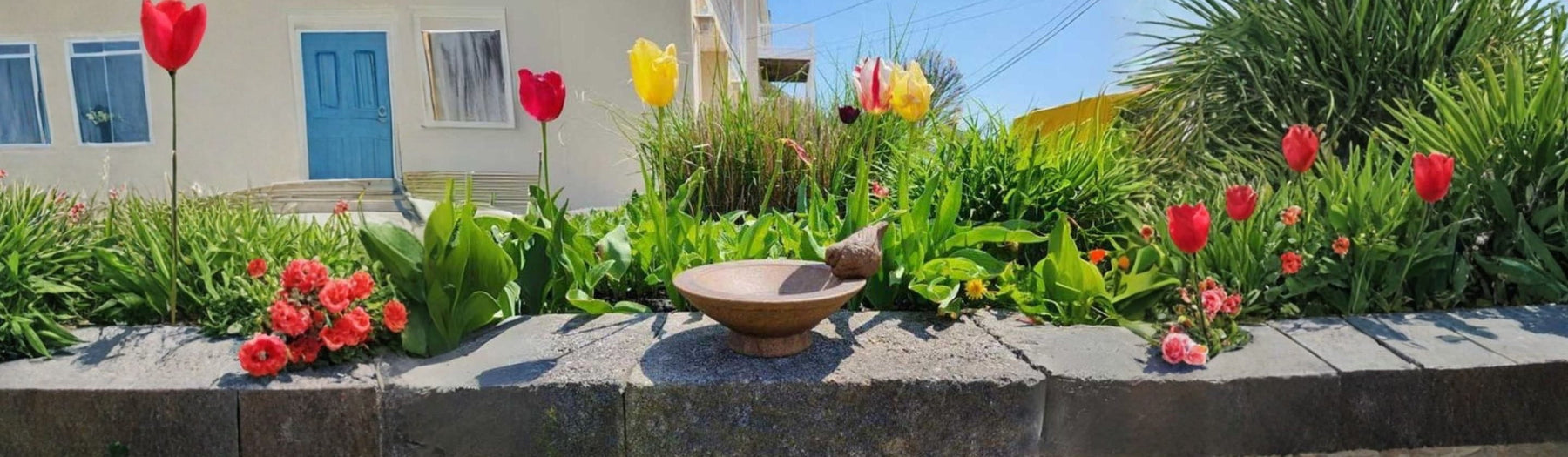 15 Stunning Birdbath Ideas That Get Birds Flocking to Your Garden