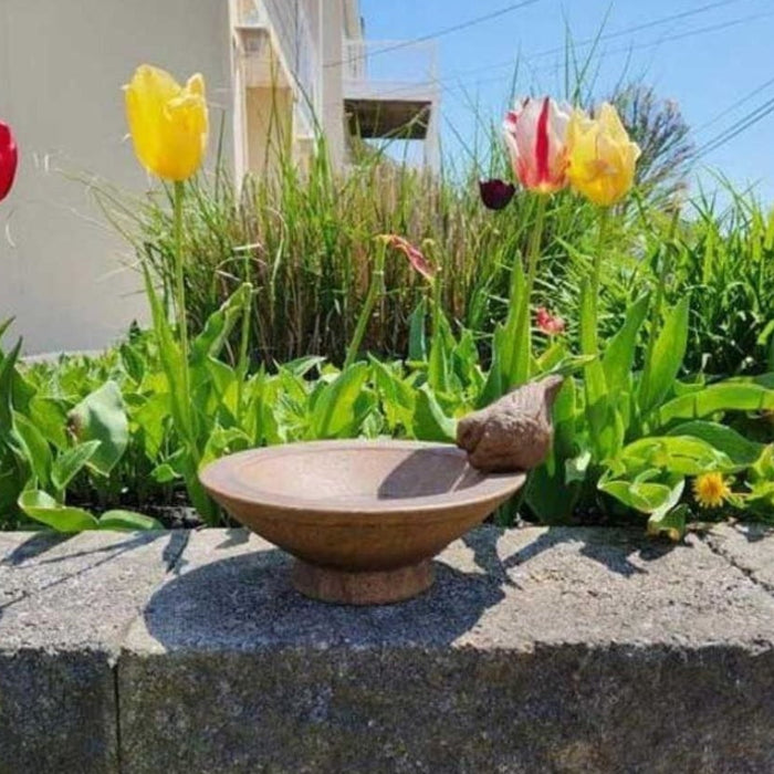 15 Stunning Birdbath Ideas That Get Birds Flocking to Your Garden