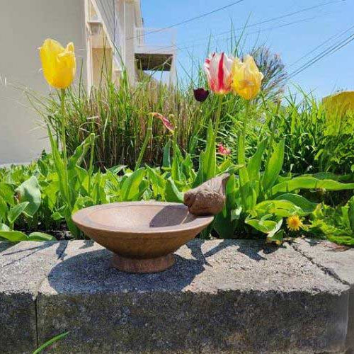 Songbirds Rest Birdbath on ledge in garden