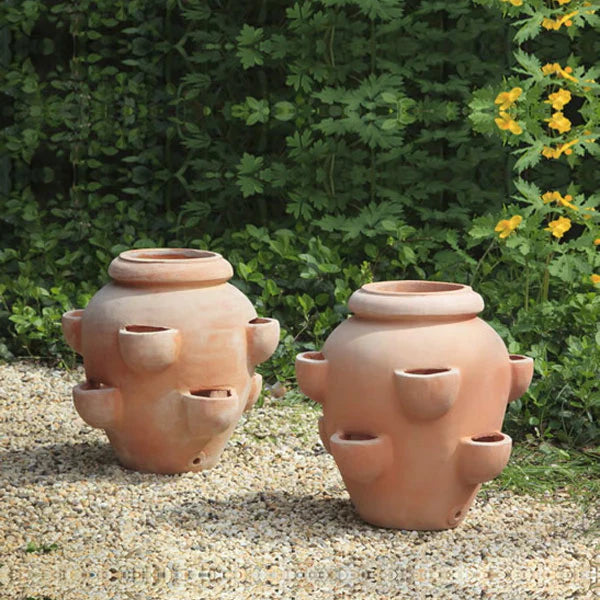 Classic Terra Cotta Planters Collection Image of Tascandi Strawberry Jar Planter on gravel against green plants.