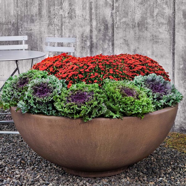 GFRC Planters Collection Image of Contour Low Bowl 4719 Planter filled with flowers.