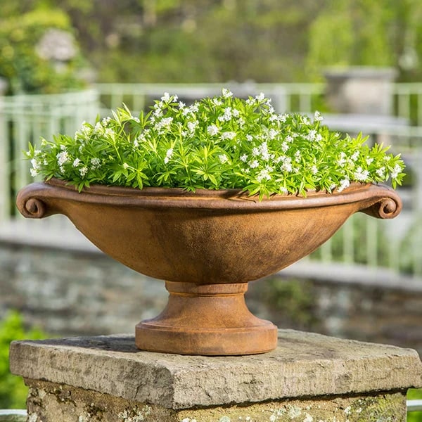 Small Planters Collection Image of Small Medici Planter filled with white flowers.