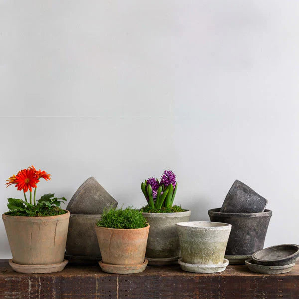 Tabletop Planters Collection Image of Tall Cylinder Farmers Pot Planter on table against gray wall.
