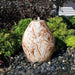 24 inch Red Marble Almond Fountain Kit on black pebbles in the backyard