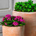 Abrielle Planter Terra Nova S/2 on the concrete upclose