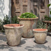 Alicante Planter - Vicolo Muro S/3 filled with plants in the backyard