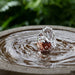 Alvar Fountain in action against green plants upclose.