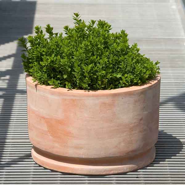 Amelie Planter - Terra Cotta - Set of 2
