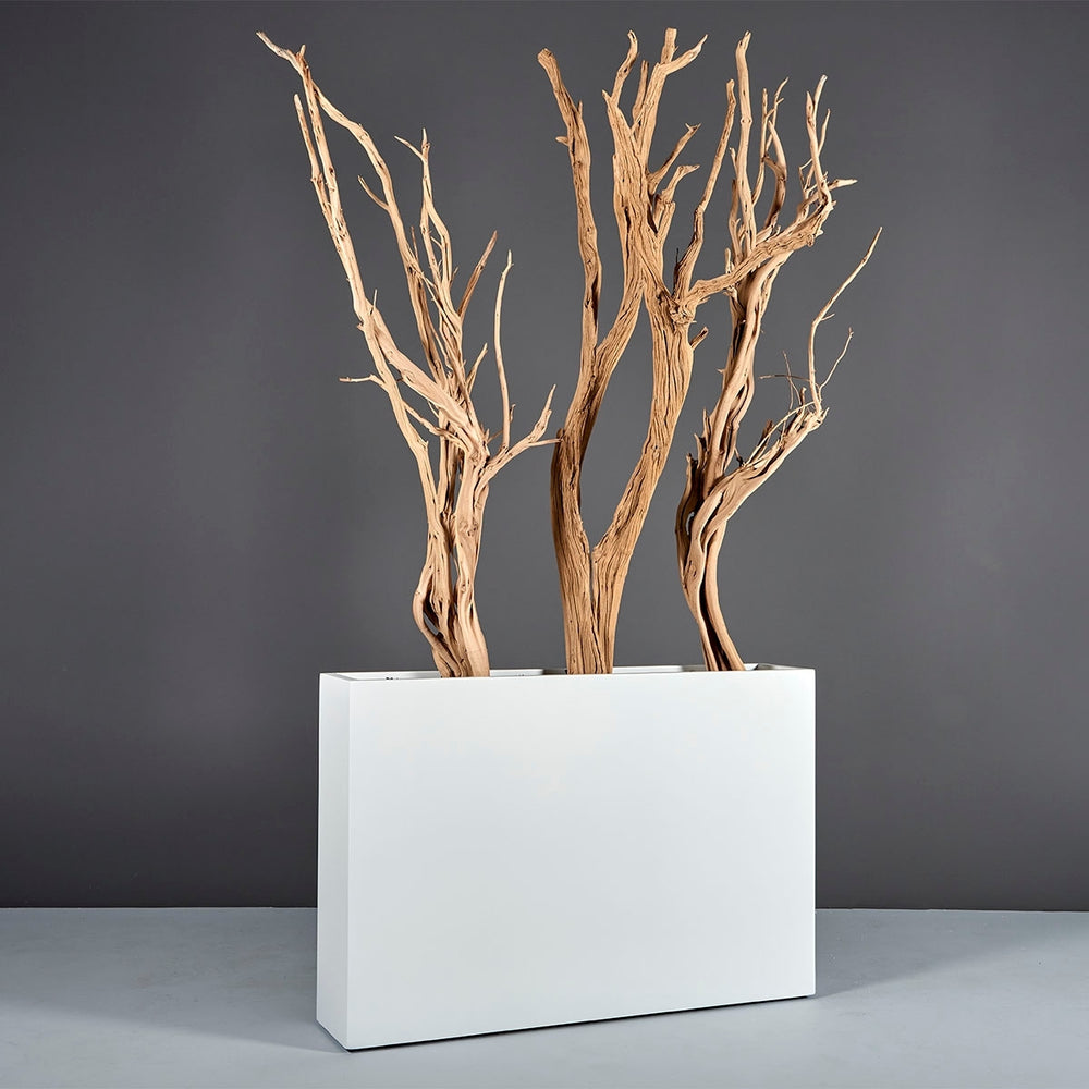 Amesbury Narrow Rectangle Planter on concrete filled with plants.