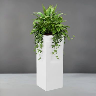 Amesbury Tall Corner Planter filled with plants against gray backdrop