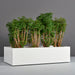 Antwerp Wide Rectangular Fiberglass Planter on concrete filled with plants.