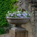 Apsley Urn, Large filled with purple flowers in the backyard