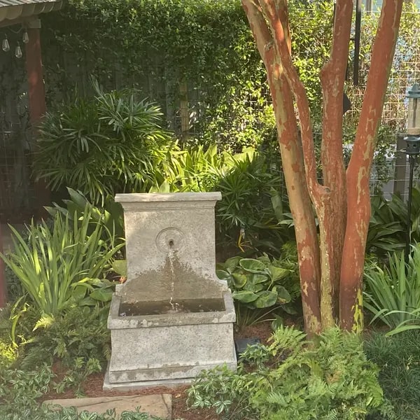 Arles Fountain beside tree in the backyard