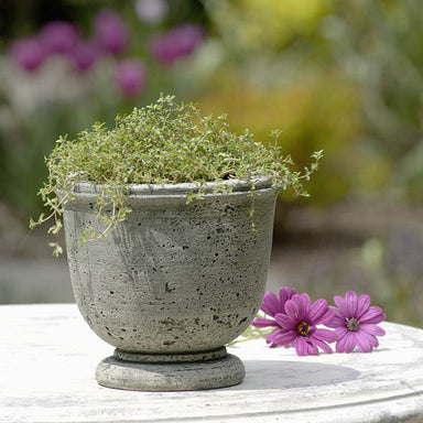 Arles Planter on table filled with plants