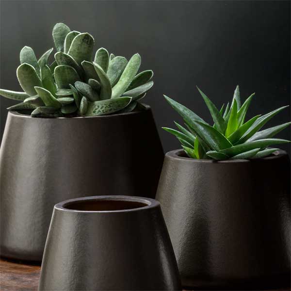 Artisan Pot, Large - Matte Black - S/2 filled with cactus on table upclose