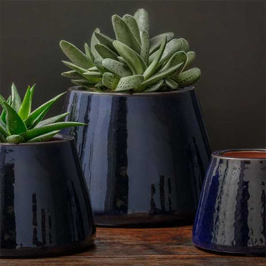 Artisan Pot, Large - Sapphire - S/2 filled with cactus on the table upclose