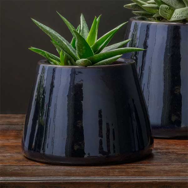 Artisan Pot, Medium - Sapphire - S/4 filled with plants on table upclose