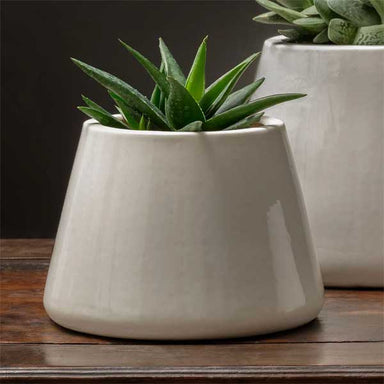 Artisan Pot, Medium - Shiny White - S/4 filled with plants on table upclose