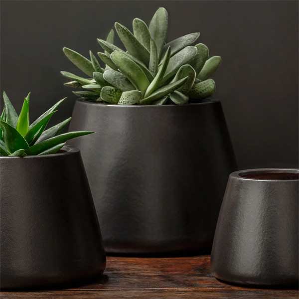 Artisan Pot Planter, Large - Matte Black - S/2 filled with cactus against black backdrop upclose