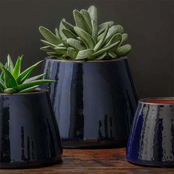 Artisan Pot Planter, Large - Sapphire - S/2 filled with cactus on the table upclose