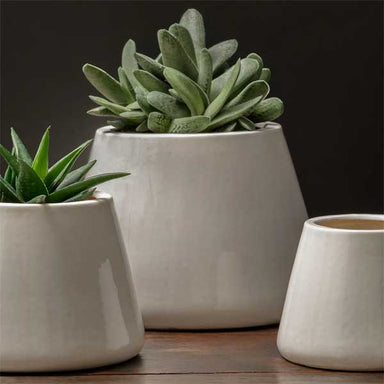 Artisan Pot Planter, Large - Shiny White - S/2 filled with cactus on table uplcose