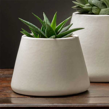 Artisan Pot Planter, Medium - Matte White - S/4 filled with plants on table upclose