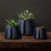 Artisan Pot Planter, Medium - Sapphire - S/4 filled with plants on table