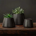 Artisan Pot Planter, Small - Matte Black - S/6 on filled with plants on table