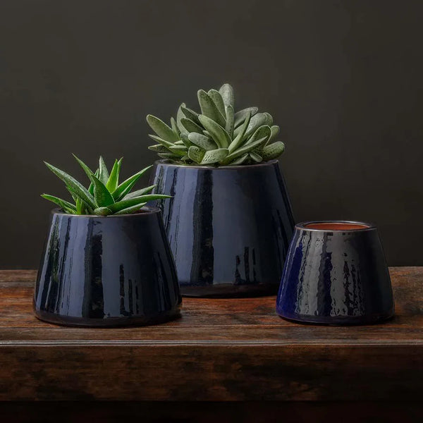 Artisan Pot Planter, Small - Sapphire - S/6 filled with plants on table