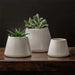 Artisan Pot Planter, Small - Shiny White - S/6 filled with plants on table