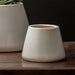 Artisan Pot Planter, Small - Shiny White - S/6 on table against black backdrop upclose