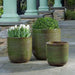 Banded Coin Pot - Pine - S/3 on concrete filled with plants