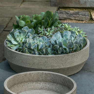 Beveled Terrace Bowl Planter, Large on concrete filled with plants