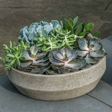 Beveled Terrace Bowl Planter, Medium on concrete filled with plants