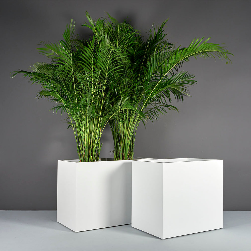 Brisbane Wide Rectangle Fiberglass Planter shown with different sizes filled with plants.