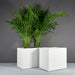 Brisbane Wide Rectangle Fiberglass Planter shown with different sizes filled with plants.