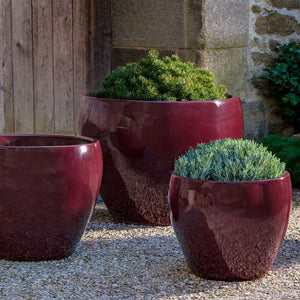 Cabachon Planter - Plum - S/3 on gravel filled with plants