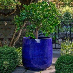 Caixa Planter Extra Large - Sapphire - S/1 on concrete in the backyard