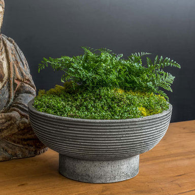 Calistoga Bowl on table filled with plants