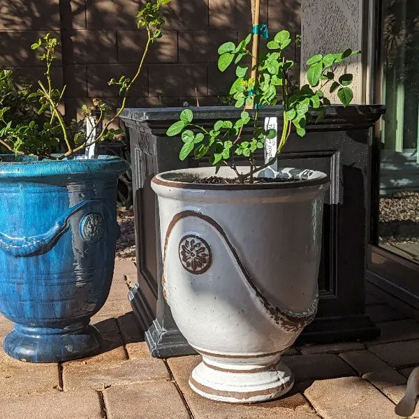 Campania International | Anduze Urn | Garden-Fountains