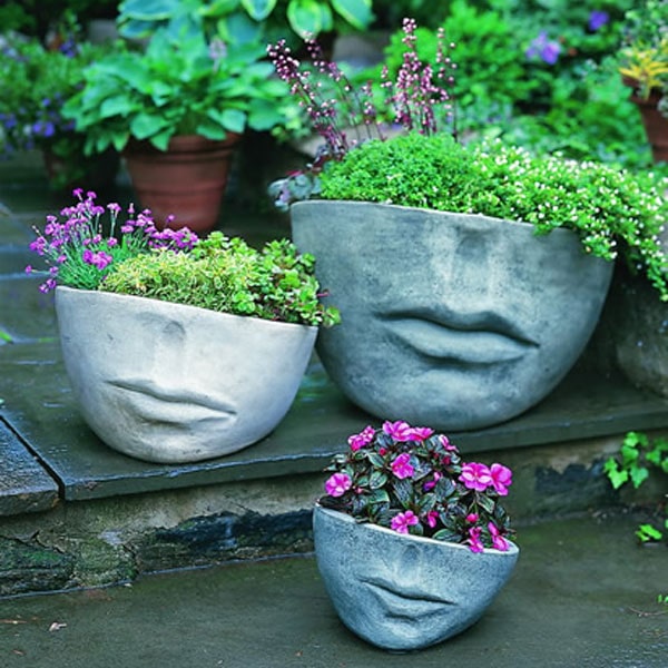 Faccia Planter, Medium