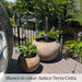 Campania International Paseo Bowl Planters near sunbed.