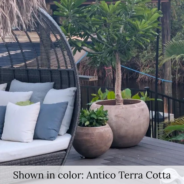 Campania Paseo Bowl Planer Set filled with plants on patio.
