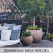 Campania Paseo Bowl Planer Set filled with plants on patio.