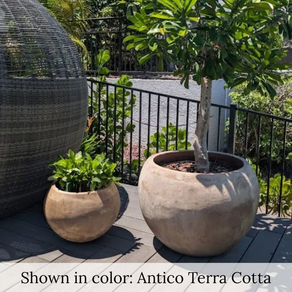 Campania Paseo Bowl Planter Set filled with plants.