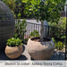 Campania Paseo Bowl Planters in Antico Terra Cotta near sunbed.